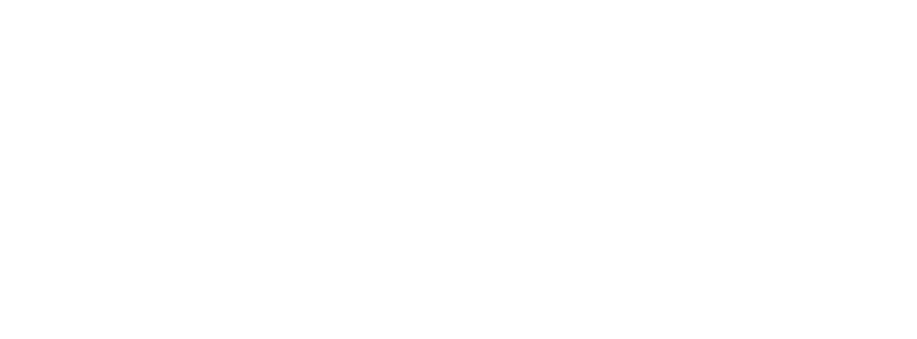 Hawk Tech